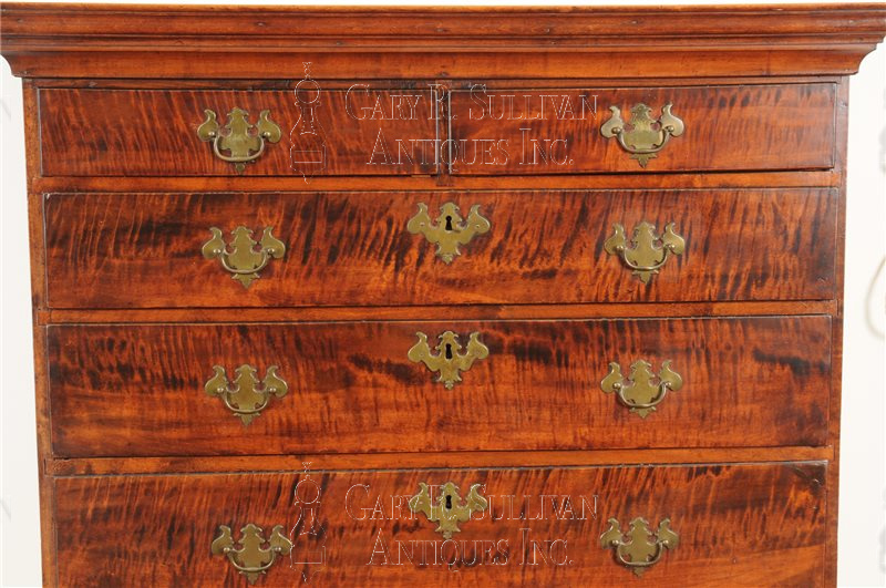 Chippendale tiger maple tall chest (Rhode Island)