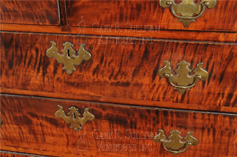 Chippendale tiger maple tall chest (Rhode Island)